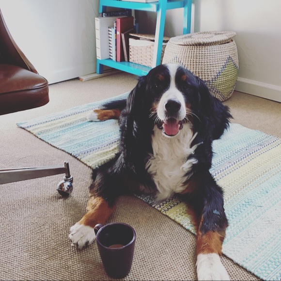 Meet your Posher, Ashley - Picture 2 of 2